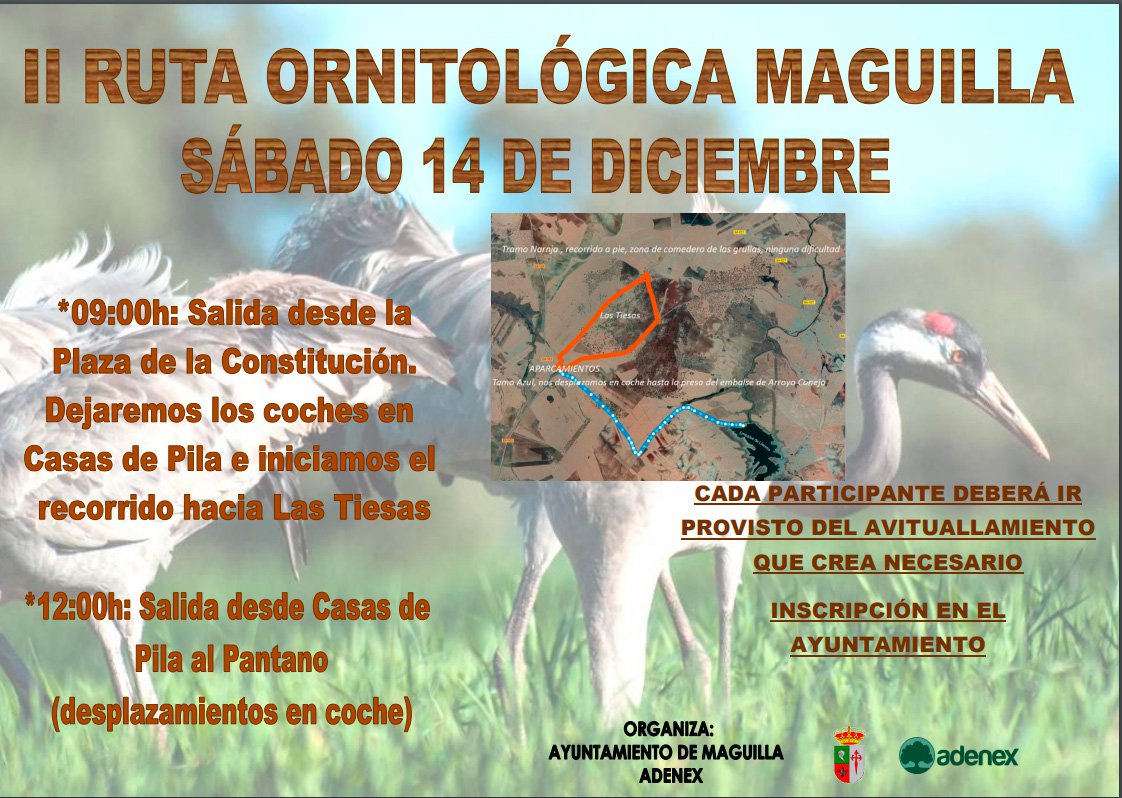 II Ruta Ornitológica en Maguilla 