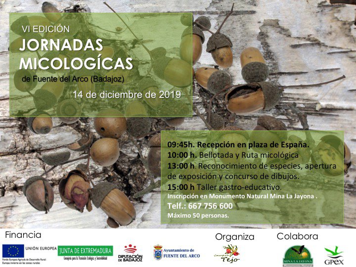 VI Jornadas Micológicas en Fuente del Arco 