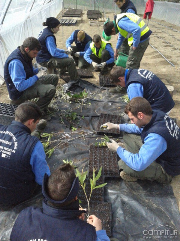 PFP Dual @prendizext “Jardines y zonas verdes” en Villagarcía de la Torre y Usagre 