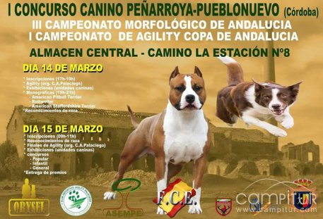 Peñarroya – Pueblonuevo acoge la celebración del Campeonato Canino 