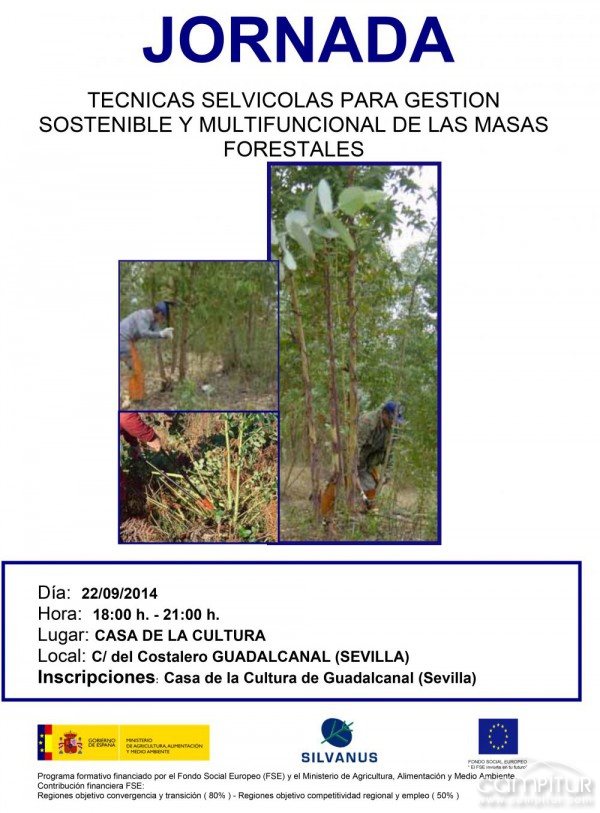 Jornada Técnicas Selvícolas para Gestión Sostenible y Multifuncional de las Masas Forestales en Guadalcanal   