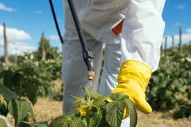 Curso Aplicador de Productos Fitosanitarios Cualificados en Campillo de Llerena 