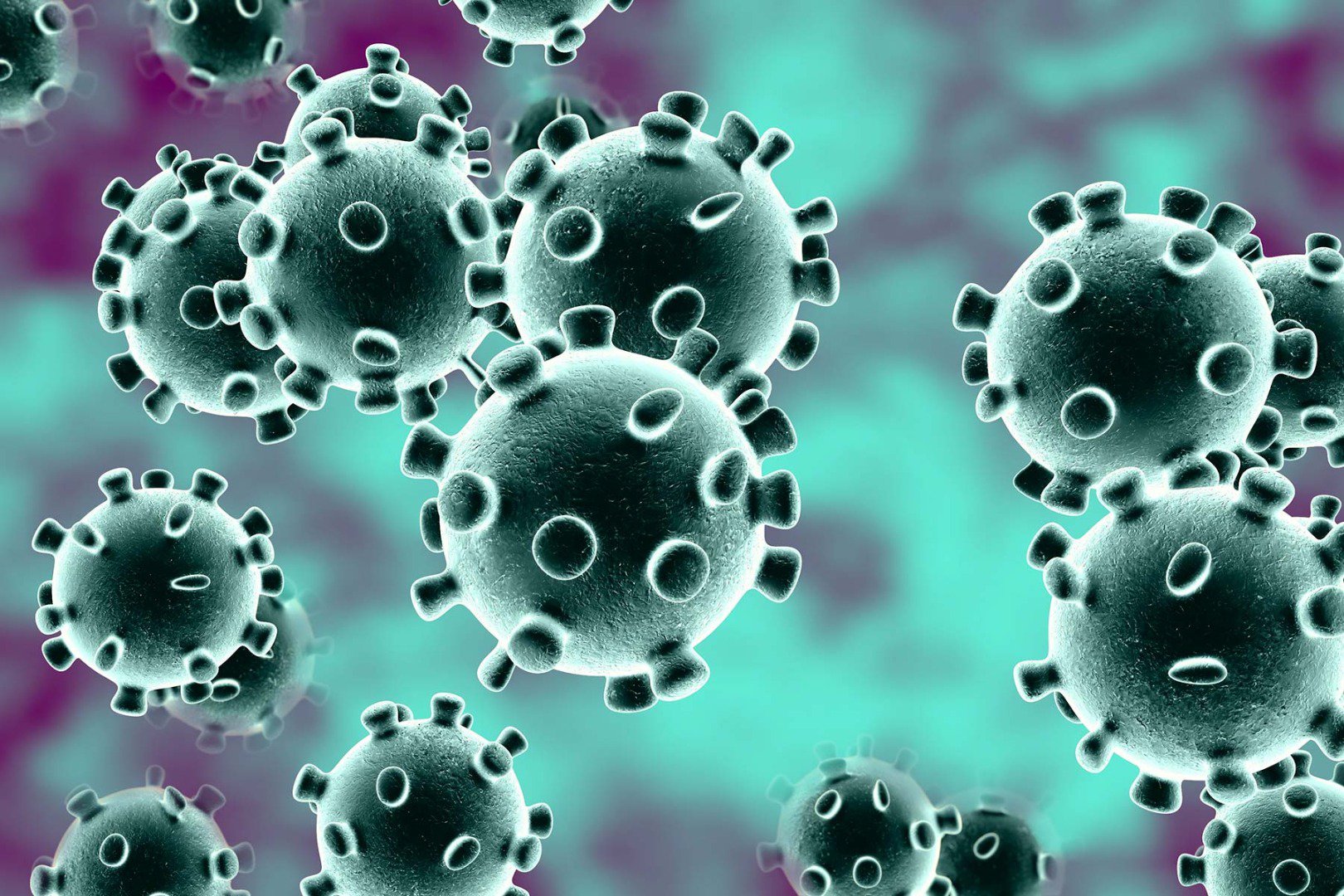 Coronavirus en Extremadura 