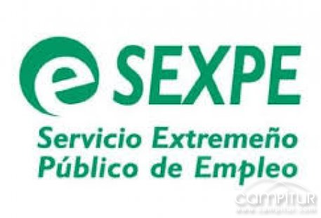 Renovación demanda de empleo 