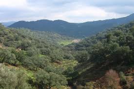 Pueblos de la Sierra Norte de Sevilla mantiene el pulso al Covid 19