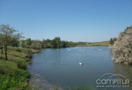 Abierta la Charca de los Patos de Maguilla 