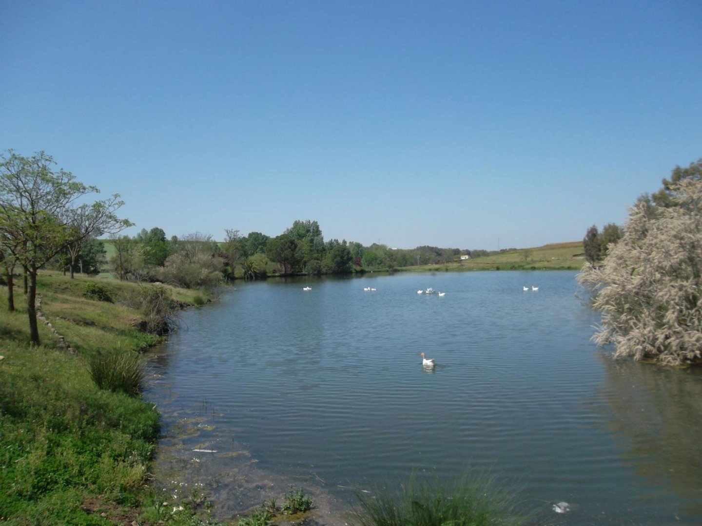 Abierta la Charca de los Patos de Maguilla 