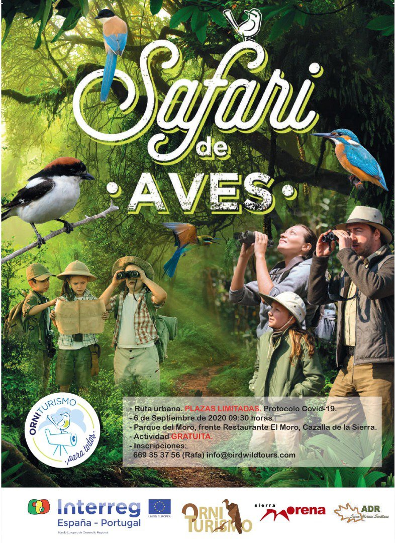 Safari de aves en Cazalla de la Sierra 