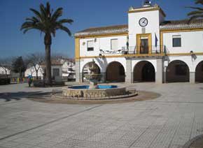 I Plan de Ayuda al Mayor en Los Blazquez 