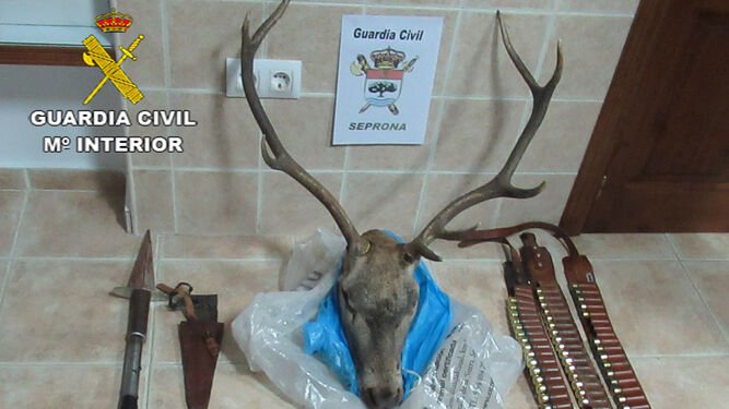 Montería ilegal en la Sierra Norte de Sevilla 