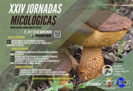 XXIV Jornadas Micológicas Parque Natural Sierra Norte de Sevilla 