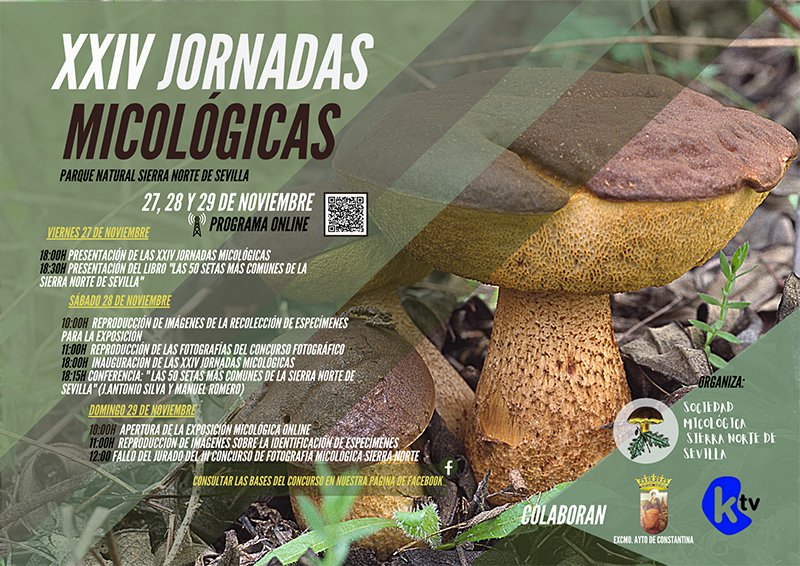 XXIV Jornadas Micológicas Parque Natural Sierra Norte de Sevilla 