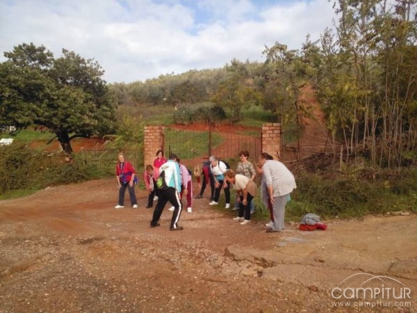 Comienza el Taller de Caminata en el Centro de la Mujer en Constantina 