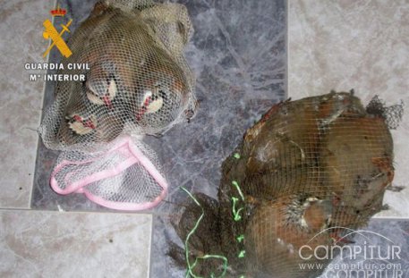Sorprendidos en Malcocinado 4 furtivos cazando con artes prohibidas 