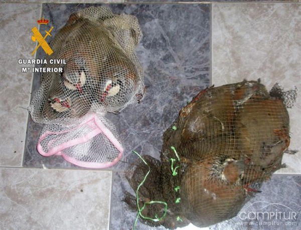 Sorprendidos en Malcocinado 4 furtivos cazando con artes prohibidas 