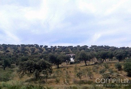 El Ayuntamiento de Azuaga y la Hermandad de San Isidro, cierran la romería 