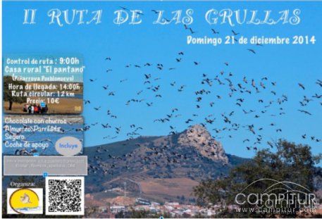 II Ruta de las Grullas en Peñarroya-Pueblonuevo 