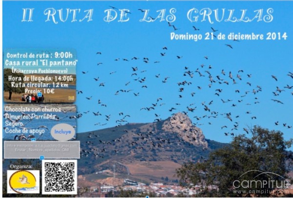 II Ruta de las Grullas en Peñarroya-Pueblonuevo 