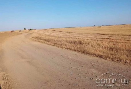 Arreglo del camino Llerena - Granja de Torrehermosa 