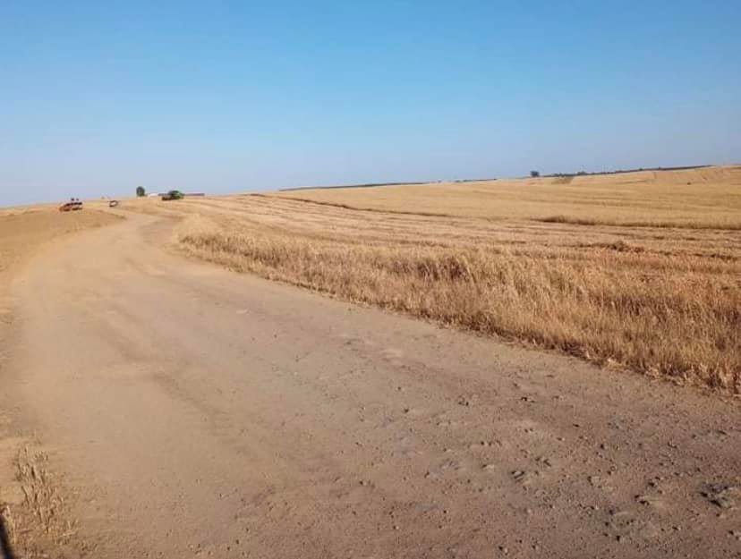 Arreglo del camino Llerena - Granja de Torrehermosa 