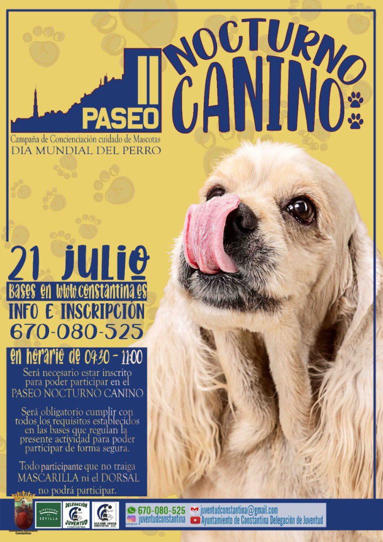 II Paseo Nocturno Canino en Constantina 