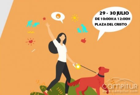 Campaña de concienciación higiene de tu mascota 