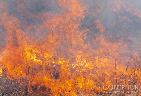 Tres empleados municipales juzgados por un incendio forestal en la Sierra Norte