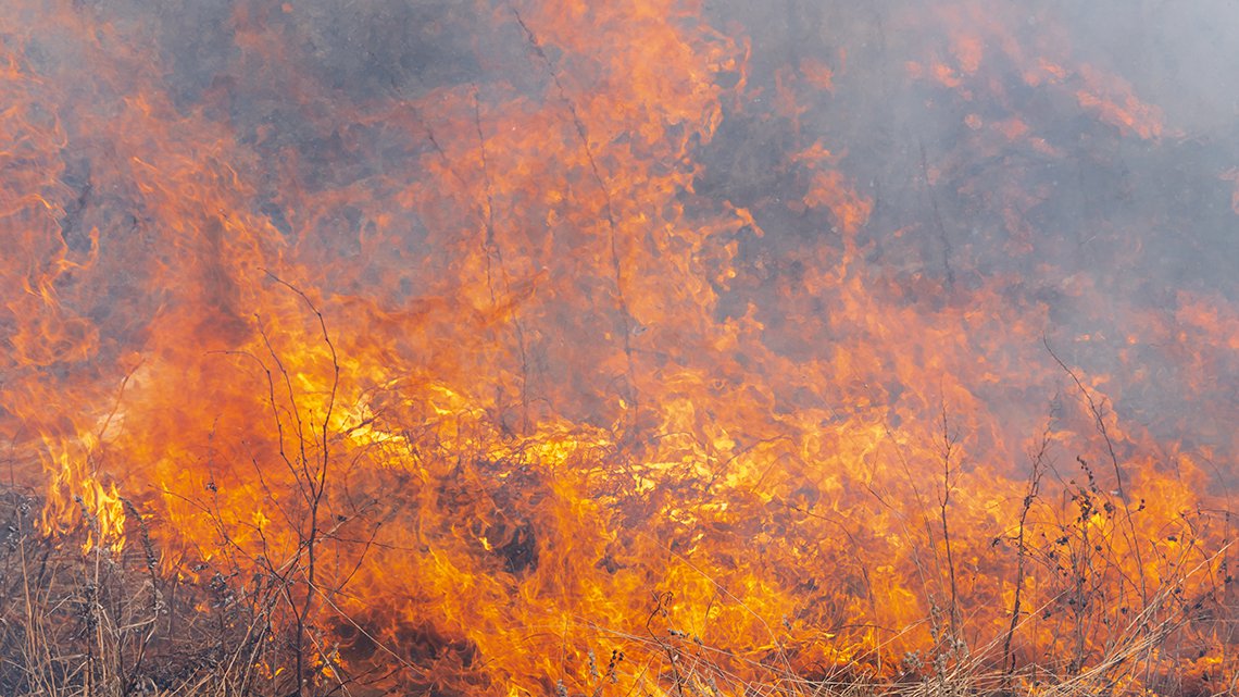 Tres empleados municipales juzgados por un incendio forestal en la Sierra Norte