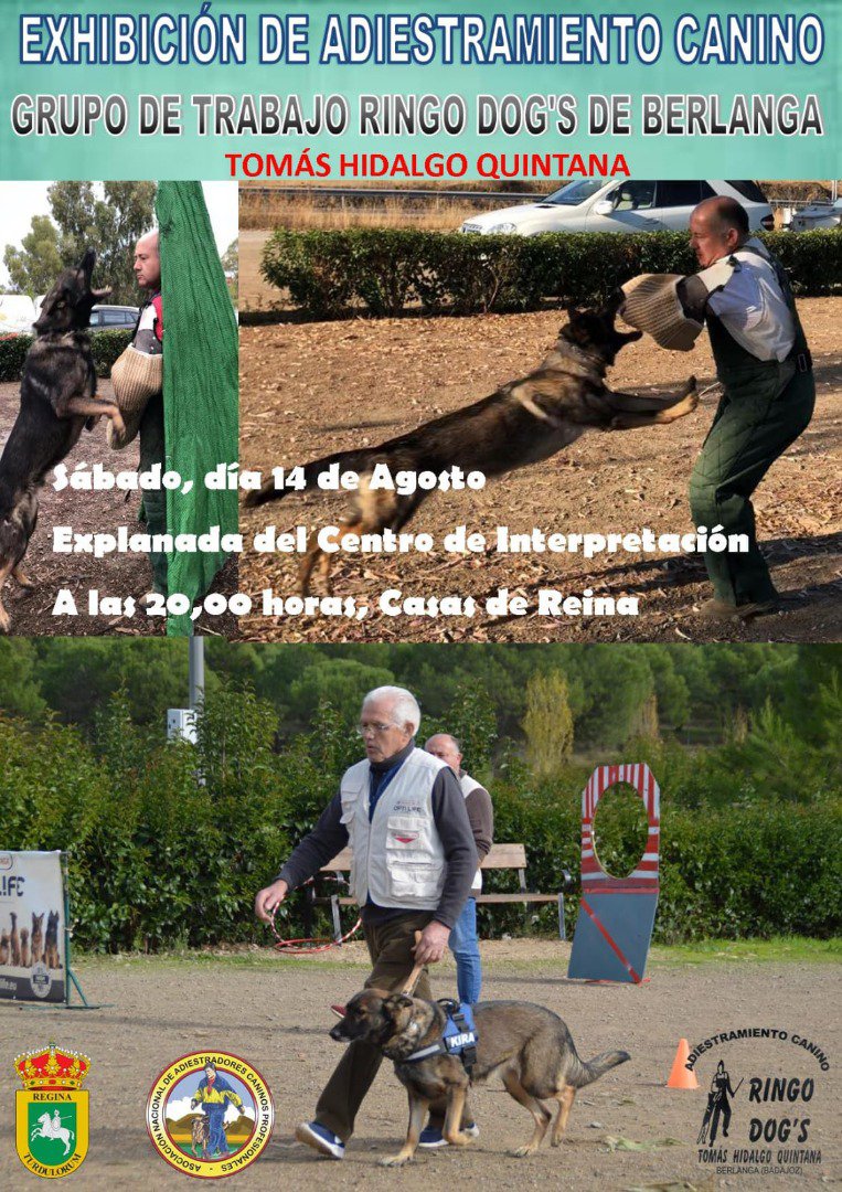 Exhibición de Adiestramiento Canino en Casas de Reina 