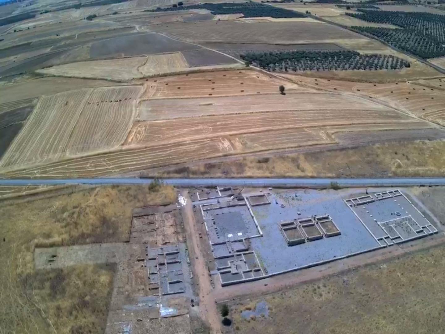 Campaña reivindicativa en Casas de Reina  