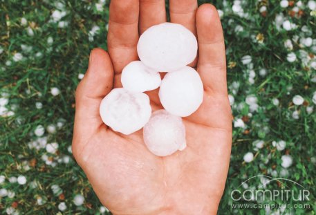 Las tormentas dejan innumerables daños en el campo extremeño 