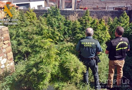 Actuación policial anti droga en Villagarcía de la Torre