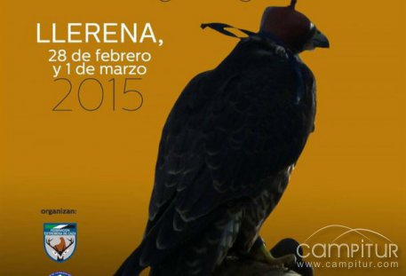 Llerena acoge el I Campeonato de Extremadura de Altanería 