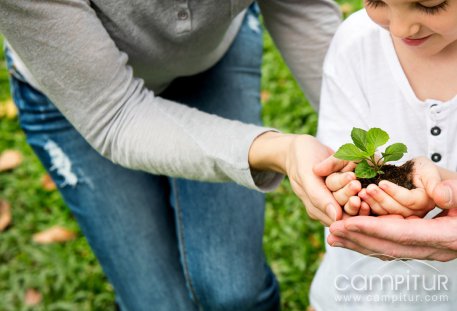 “Planta bosques. Apadrina un árbol” en Berlanga 