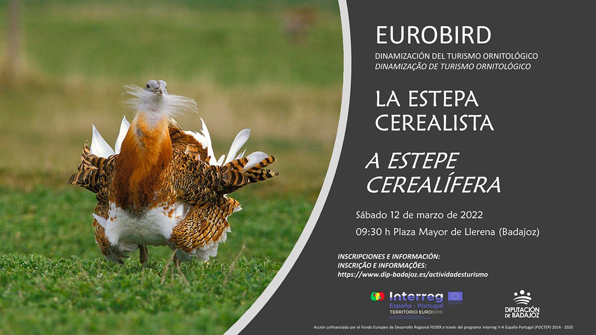 Llerena incluida en el programa de Dinamización de Turismo Ornitológico