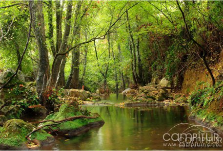 Jornada de Comercialización del Sector Alojamiento en Cazalla de la Sierra