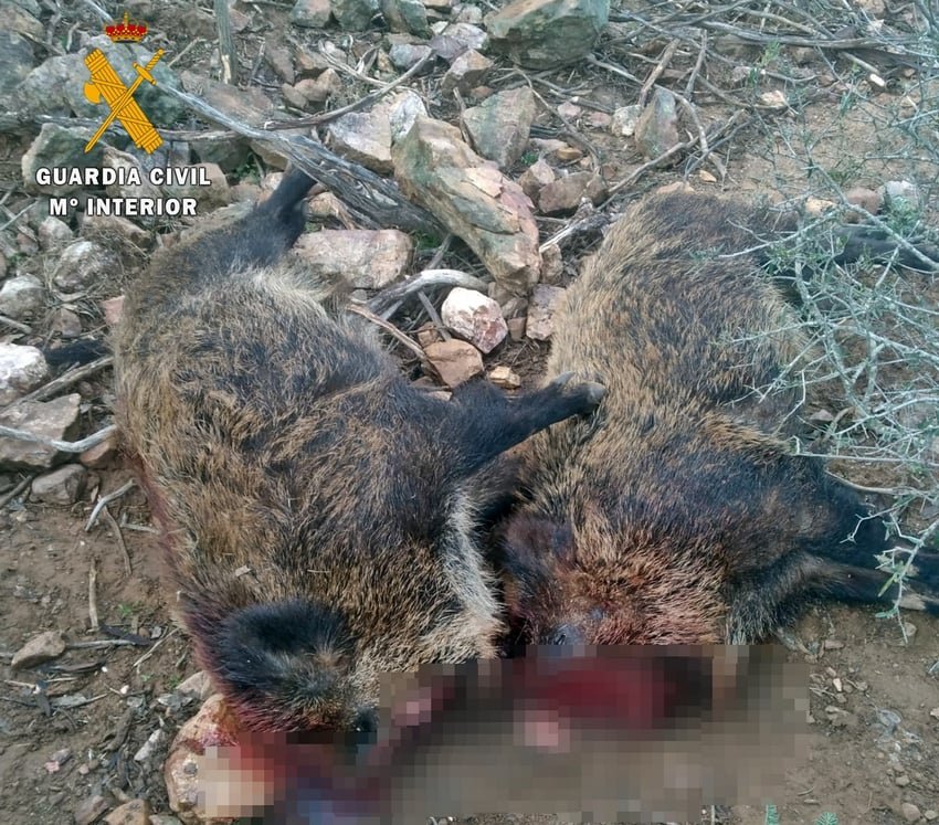 Detenidos dos furtivos en un coto de Peraleda del Zaucejo 