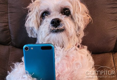 Concurso “Hazte un selfie con tu mascota” 