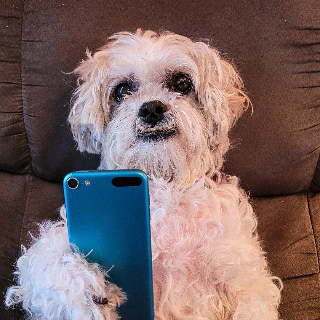 Concurso “Hazte un selfie con tu mascota” 