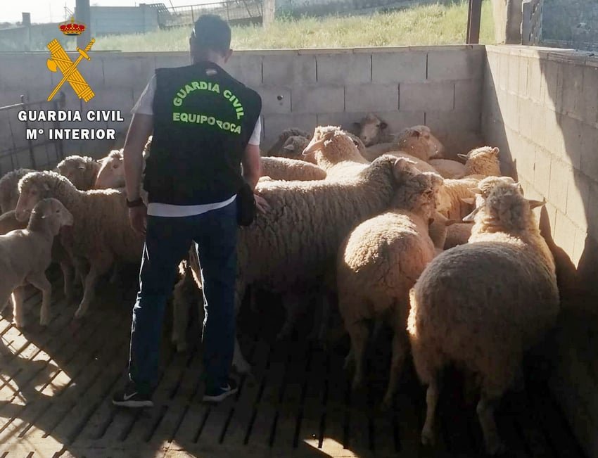 Tres vecinos de Maguillas detenidos por robar más de cien animales 