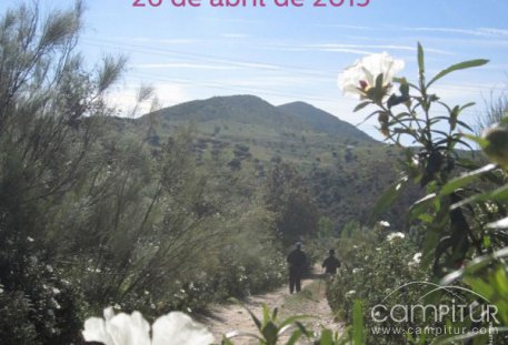 XV Travesía por la Campiña Sur, Ruta del Rey Jayón.