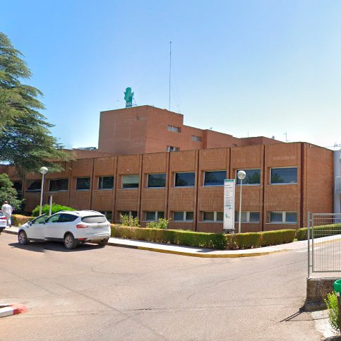 Marcha reivindicativa de la Plataforma en Auxilio al Hospital de Llerena 