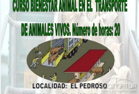 Curso Bienestar Animal en el Transporte de Animales Vivos