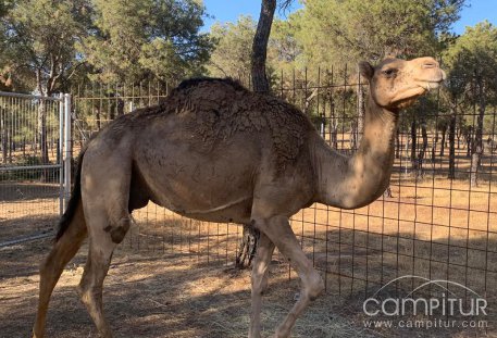 La familia del Parque Periurbano Las Quinientas de Berlanga crece 