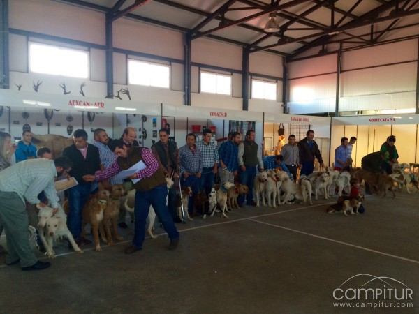 Gran acogida de público e interés en la "I Concentración de rehalas de Extremadura celebrada en Azuaga"