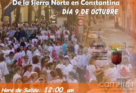 V Marcha frente al Cáncer de la Sierra Norte en Constantina 