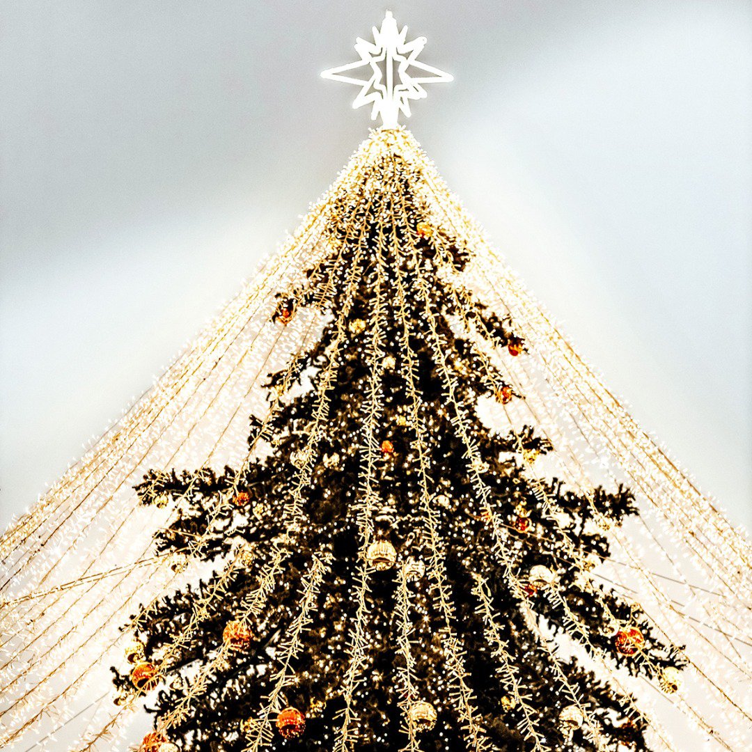Programa de eventos navideños en Berlanga  