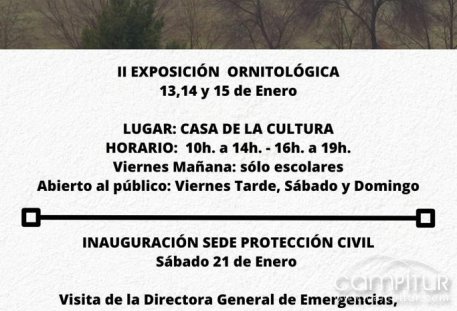 Programación Cultural para el mes de enero en Campillo de Llerena 