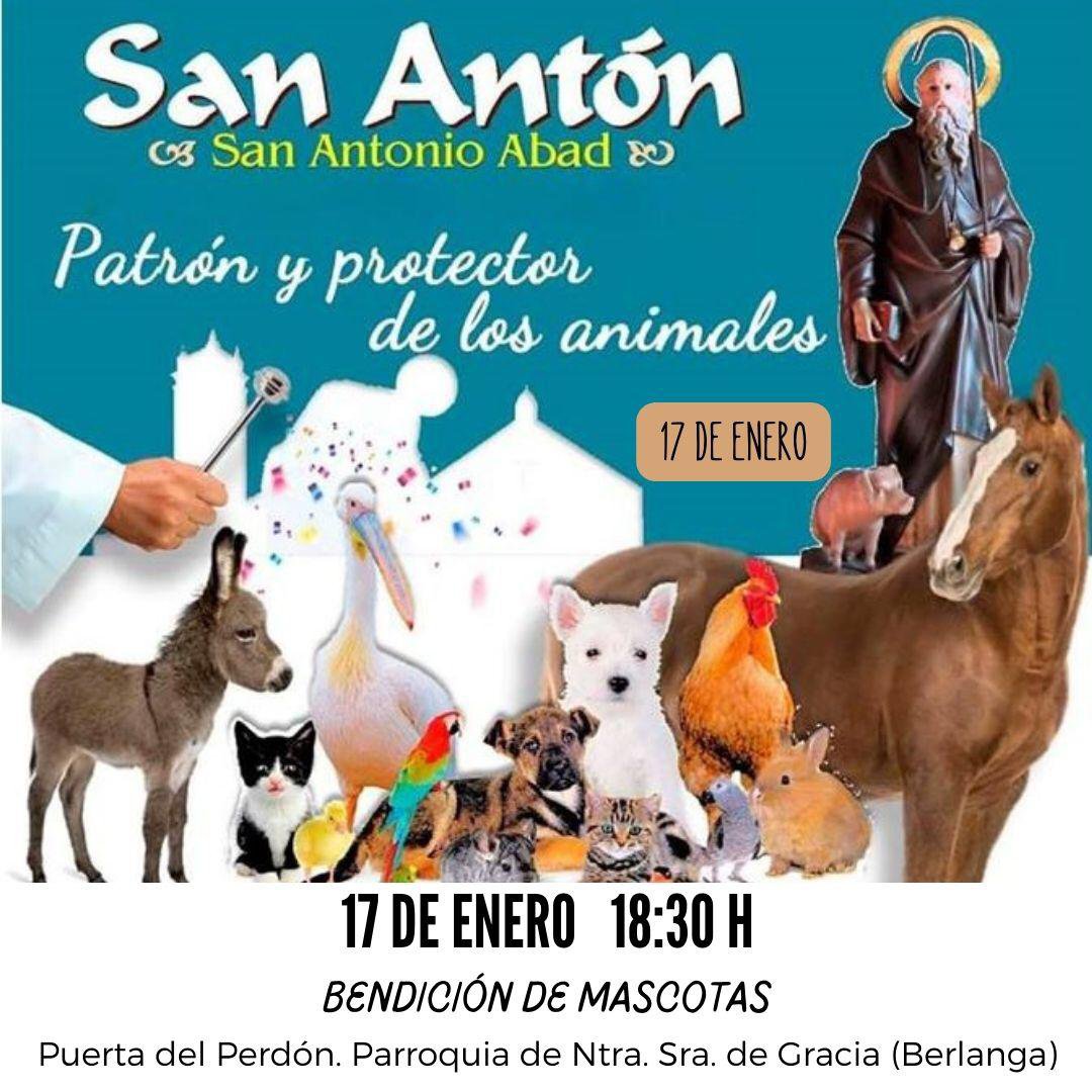 San Antón en Berlanga 