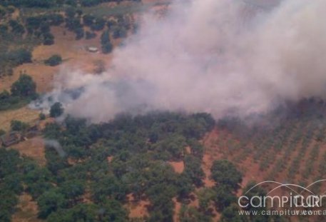 Controlado el incendio en el paraje El Robledo de Constantina